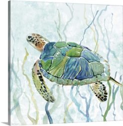 Sea Turtle Swim II