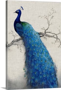 Peacock Blue II
