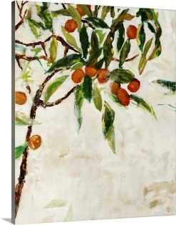 Kumquat Tree